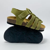 Plakton 125381 Pandi Verde Sandalia Kids